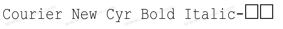 Courier New Cyr Bold Italic字体转换